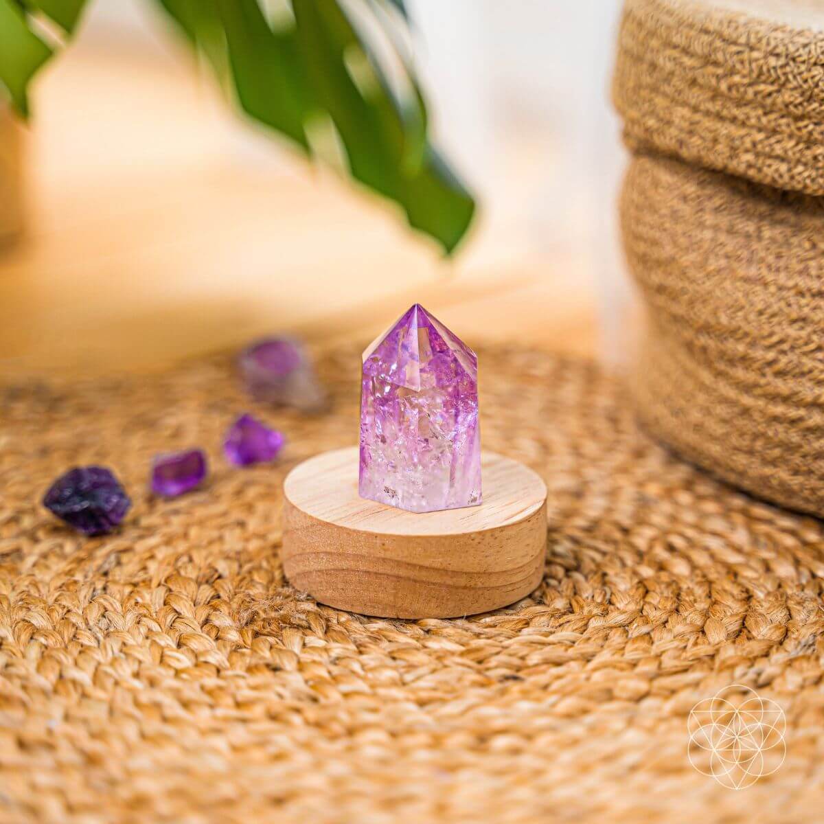 The Serenity Lamp Conscious Items