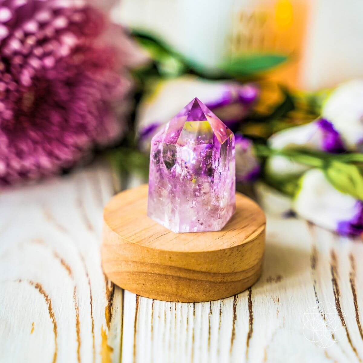 The Serenity Lamp Conscious Items