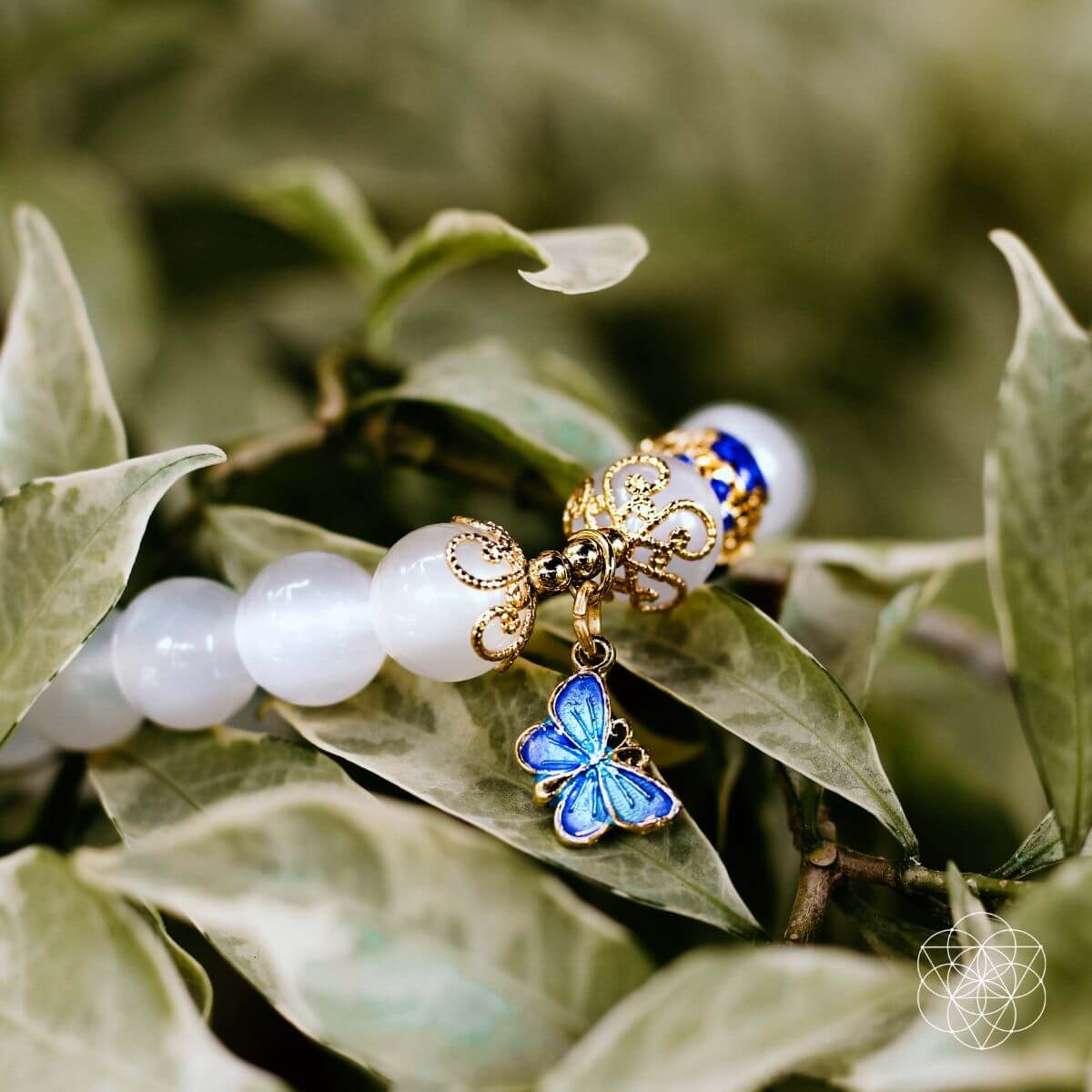 The Spiritual Growth Bracelet