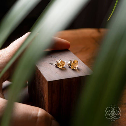 Wealth and Abundance Earring Set Conscious Items
